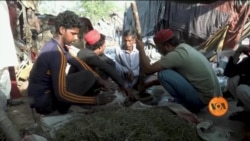 بھنگ کا پاکستان میں استعمال عام، کیا مسائل جنم لے رہے ہیں؟